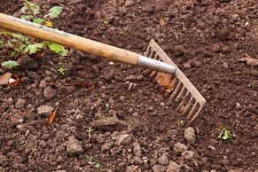 Fröhlich – Garten.Landschaft.Service Unsere Leistungen • Obstbaumpflege • Gartenpflege von Privatanlagen und Gewerbeflächen • Gartenplanung und Begleitung • Hecken-, Strauch- und Baumpflege/schnitt • Pflanzarbeiten, Anlage von (Stauden)beeten, Wiesen, Rasen... • Baumfällungen
