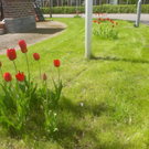 Fröhlich – Garten.Landschaft.Service Unsere Leistungen • Obstbaumpflege • Gartenpflege von Privatanlagen und Gewerbeflächen • Gartenplanung und Begleitung • Hecken-, Strauch- und Baumpflege/schnitt • Pflanzarbeiten, Anlage von (Stauden)beeten, Wiesen, Rasen... • Baumfällungen