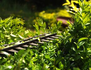 Fröhlich – Garten.Landschaft.Service Unsere Leistungen • Obstbaumpflege • Gartenpflege von Privatanlagen und Gewerbeflächen • Gartenplanung und Begleitung • Hecken-, Strauch- und Baumpflege/schnitt • Pflanzarbeiten, Anlage von (Stauden)beeten, Wiesen, Rasen... • Baumfällungen